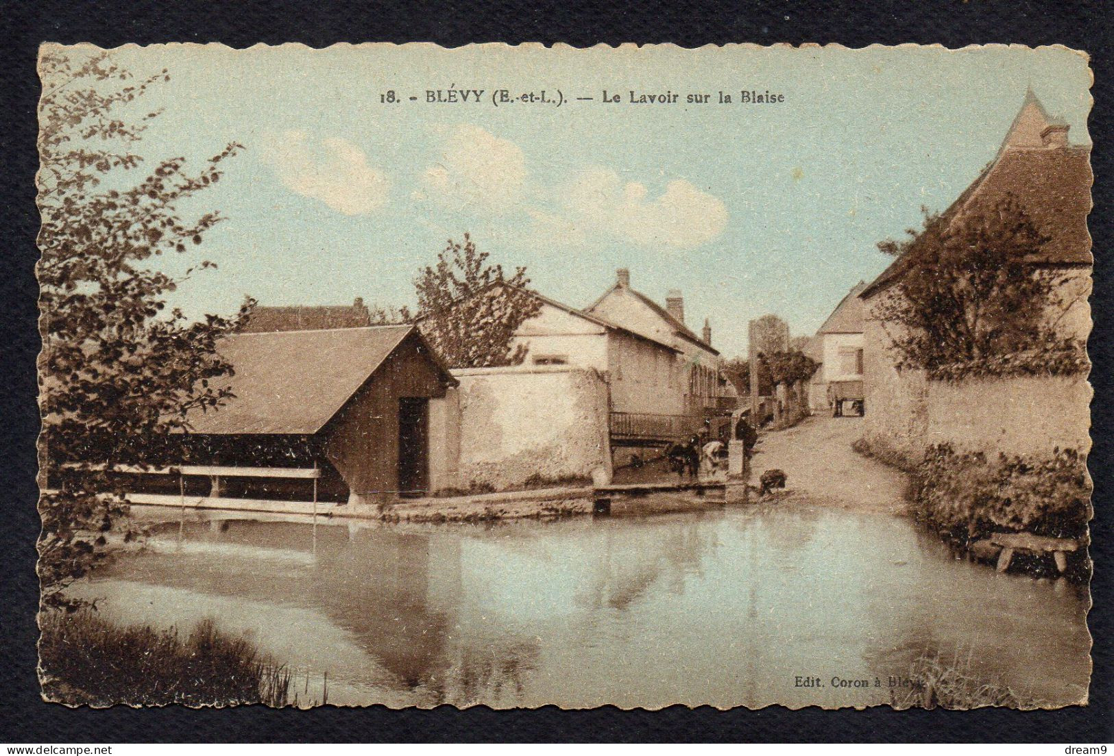 28 BLEVY - Le Lavoir Sur La Blaise - Blévy