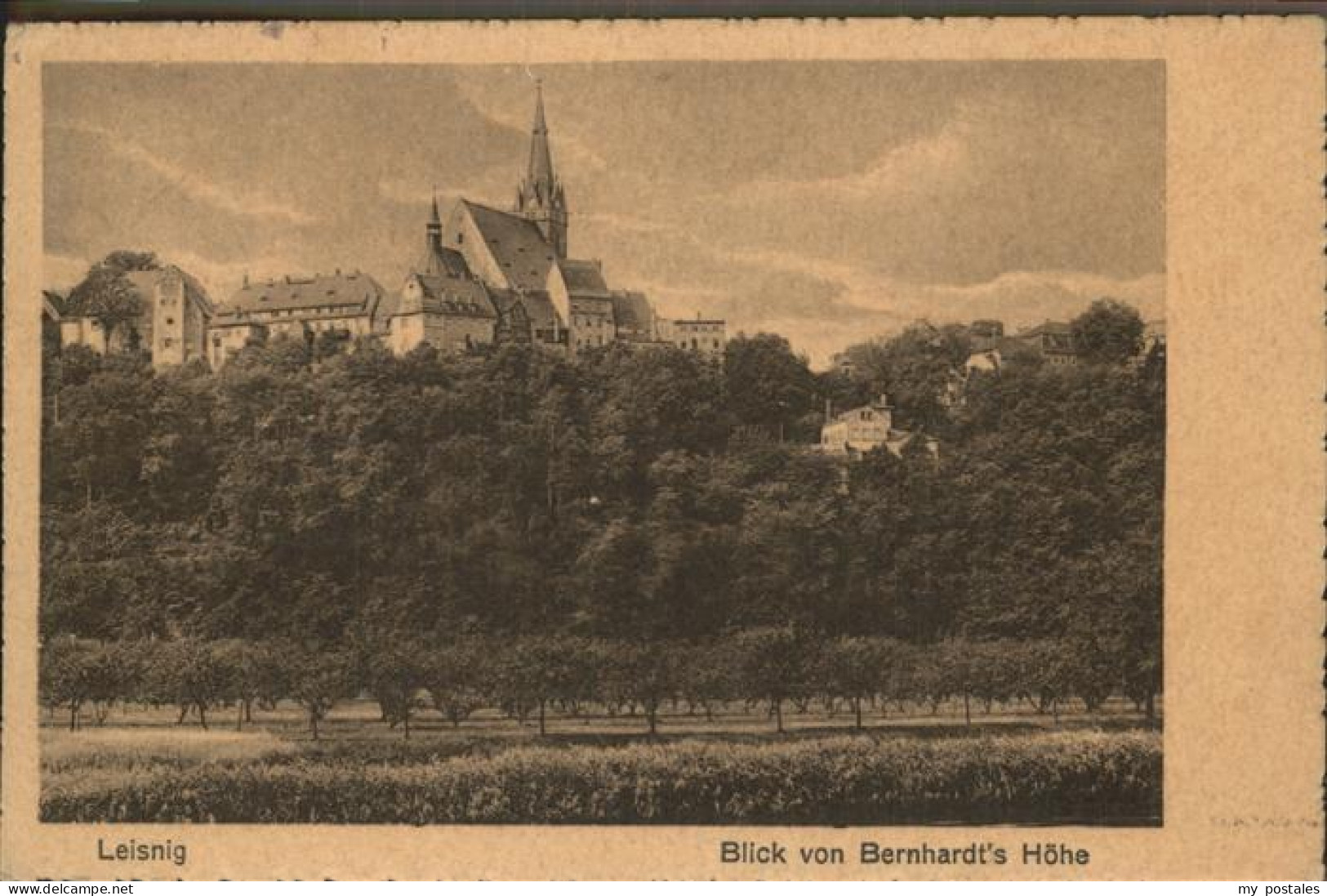 41331393 Leisnig Panorama Blick Von Bernhardts Hoehe Leisnig - Leisnig