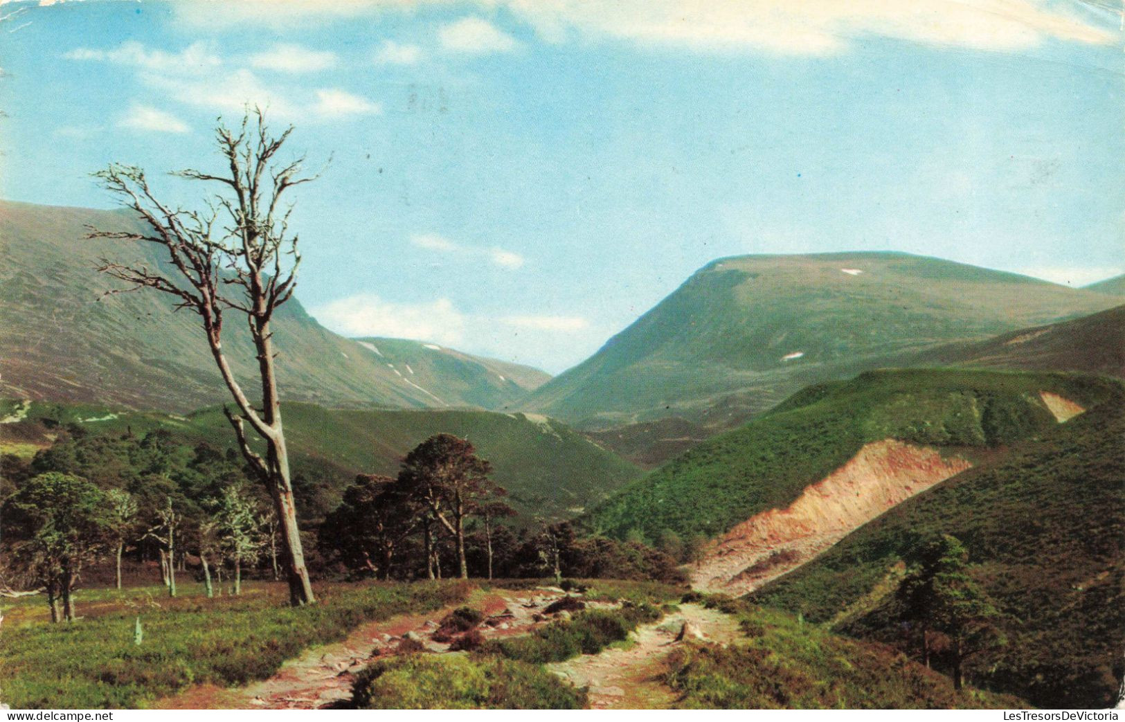 ECOSSE - The Forest Of Rothiemurchus - The Lairig Ghru Passe On The Cairngorms - Carte Postale Ancienne - Inverness-shire