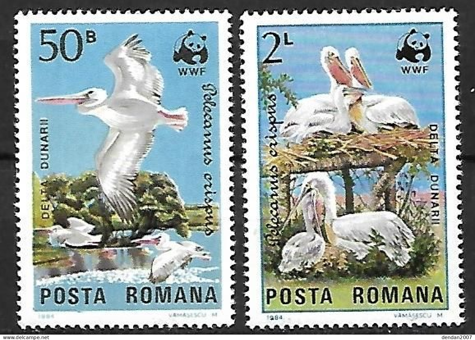 Rumania - MNH ** 1984 :   Dalmatian Pelican  -  Pelecanus Crispus  (with Chicks) - Pelicans