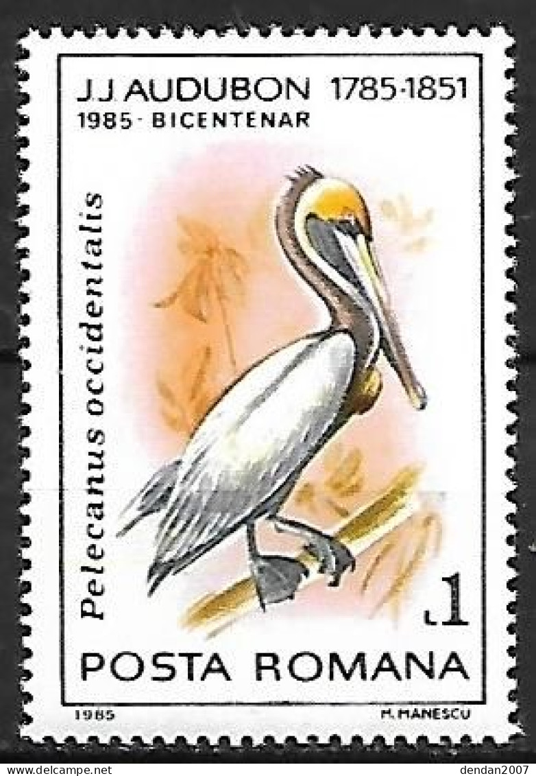 Rumania - MNH ** 1985 - Audubon :  Brown Pelican  -  Pelecanus Occidentalis - Pelicans