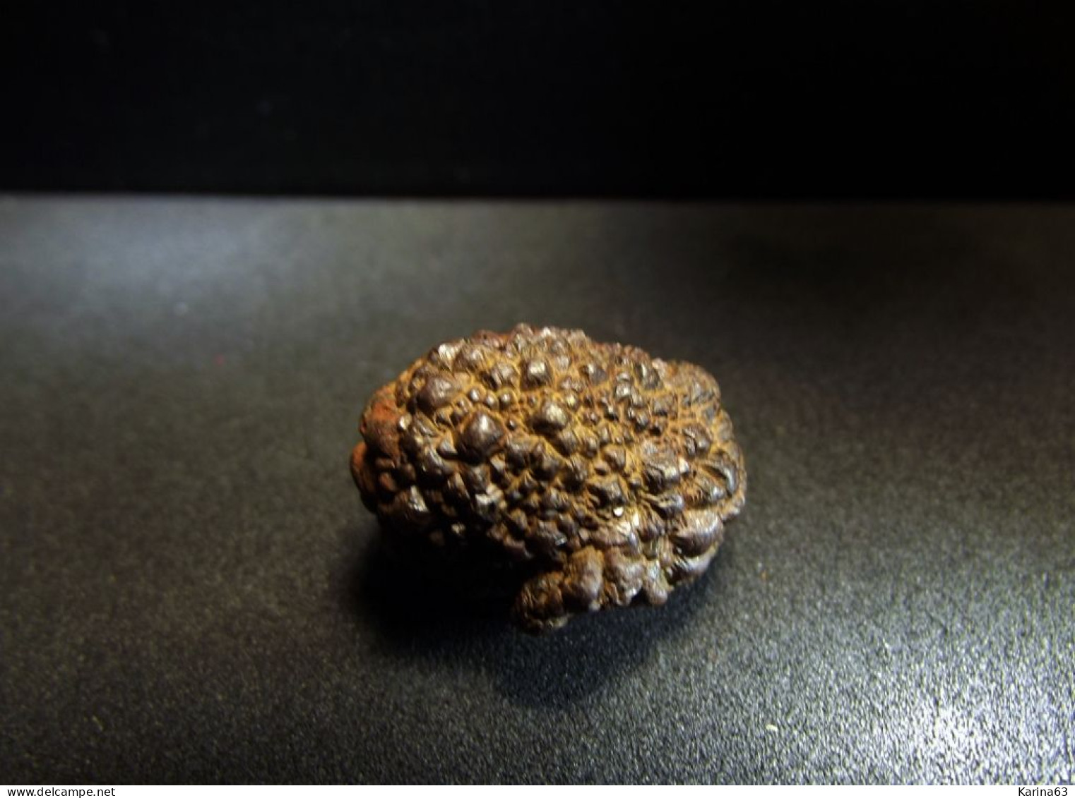 Marcassite Nodule ( 2.5 X 1.5 X 1.5 Cm) - Wimereux - Pas De Calais - France - Minerals