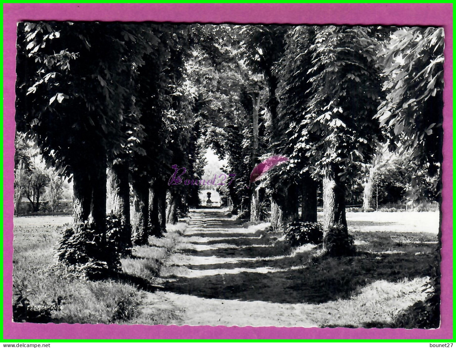 CPM VALENTON 94 - Le Chateau Des Charmilles LE MILLE PATTES Une Allée Du Parc Arbre  Carte Dentelée Noir Et Blanc - Valenton