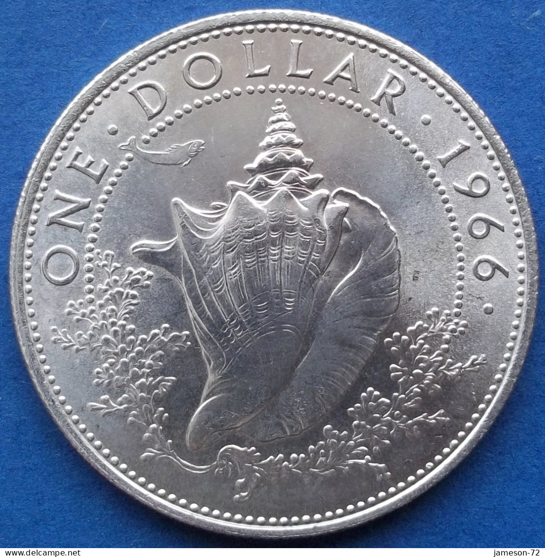 BAHAMAS - Silver 1 Dollar 1966 "Conch Sell" KM# 8 Commonwealth Elizabeth II (1952-1973) - Edelweiss Coins - Bahamas