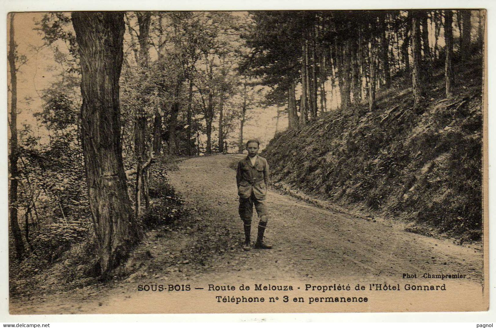 Algérie : Melouza : Sous-Bois : Propriété De L'Hôtel Gonnard - Other & Unclassified