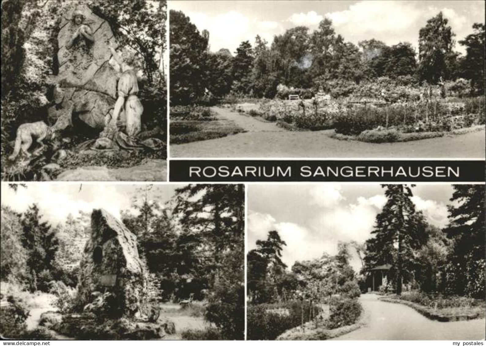 41532381 Sangerhausen Suedharz Rosarium Sangerhausen - Sangerhausen