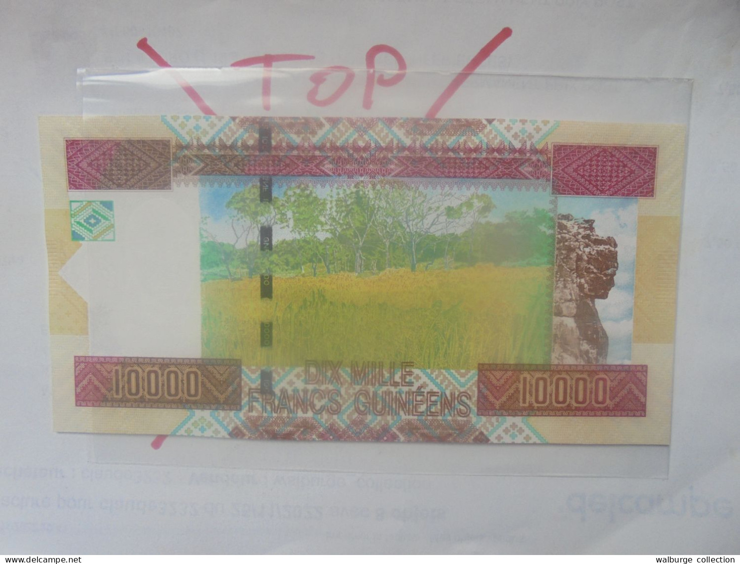 GUINEE 10.000 Francs 2012 Neuf (B.32) - Guinée