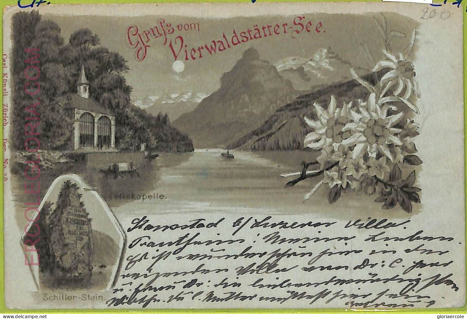 Ad5286 - SWITZERLAND - Ansichtskarten VINTAGE POSTCARD - Vierwaldstättersee - Wald