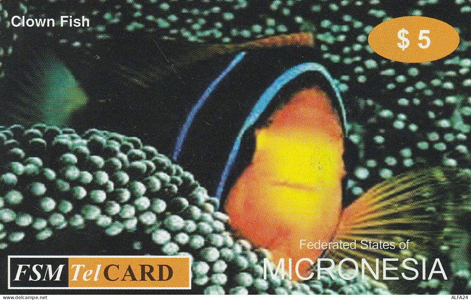 PREPAID PHONE CARD MICRONESIA  (E5.20.3 - Micronésie