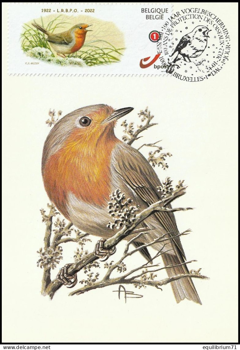 CM/MK - DUOSTAMP/MYSTAMP° - Rouge Gorge / Roodborstje / Rote Kehle / Red Throat (Erithacus Rubecula) - BUZIN - Cartes Souvenir – Emissions Communes [HK]