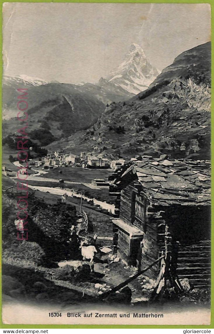 Ad5349 - SWITZERLAND Schweitz - Ansichtskarten VINTAGE POSTCARD - Zermatt - 1911 - Matt