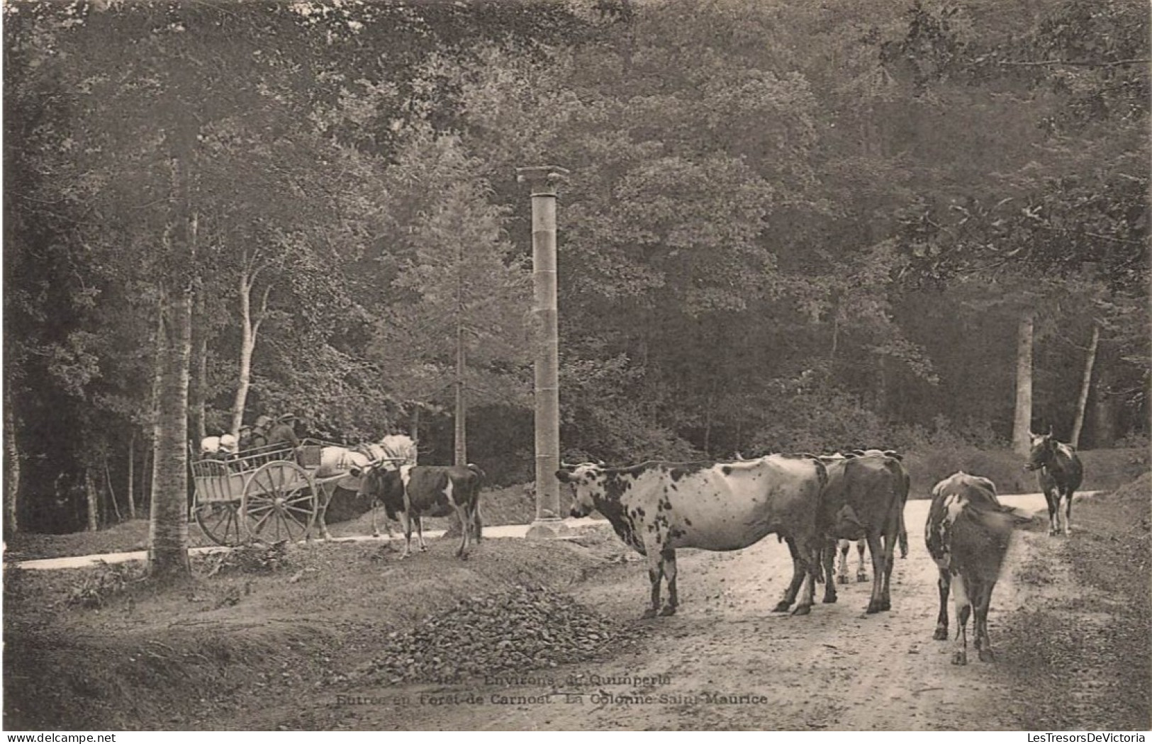 FRANCE - Quimperlé - Entrée En Forêt De Carnoet - Carte Postale Ancienne - Quimperlé