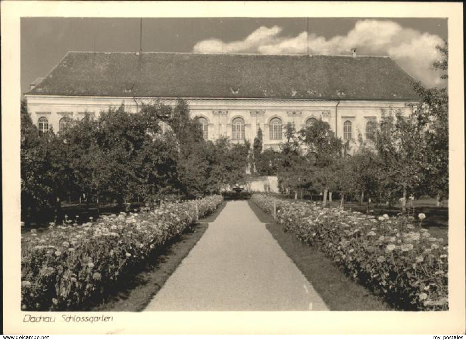 41527028 Dachau Schlossgarten Dachau - Dachau