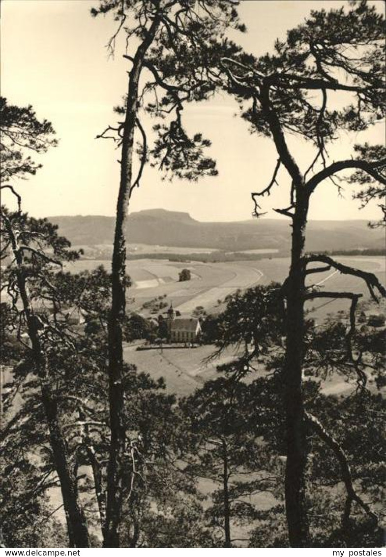 41521951 Papstdorf Fels Papststein Panorama Papstdorf - Gohrisch