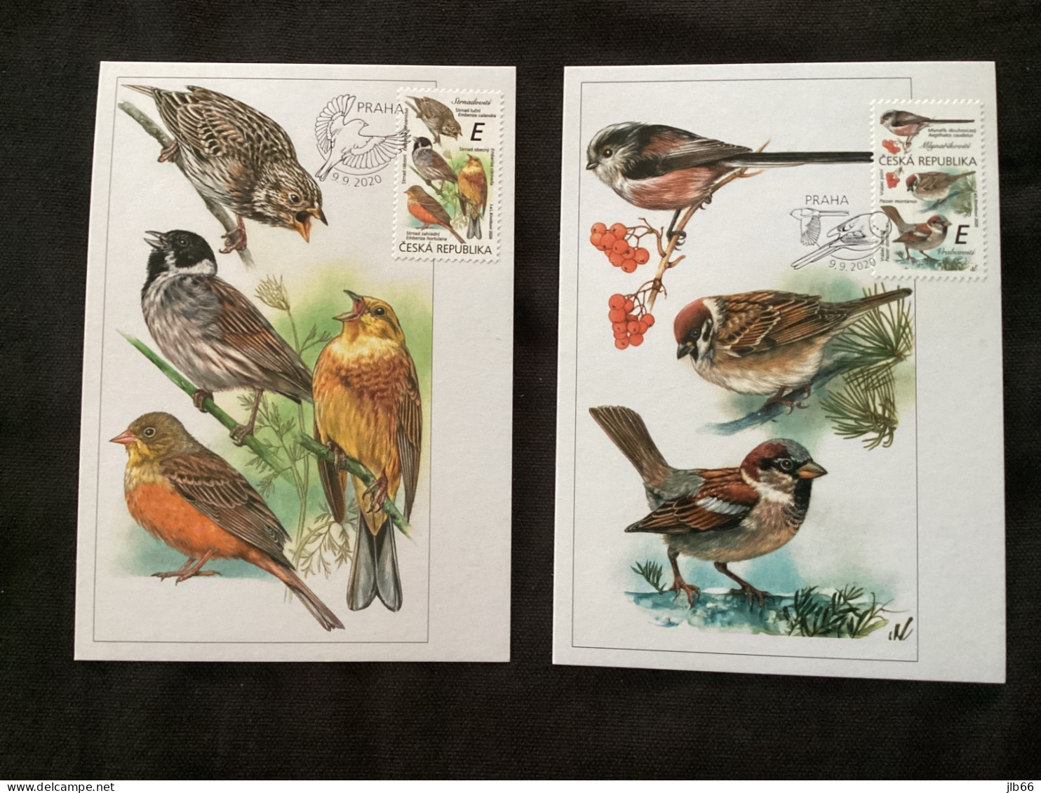 2020 : 2 Cartes Maximum Les Oiseaux Chanteurs  : Bruant Ortolan Passereau Mésange - FDC