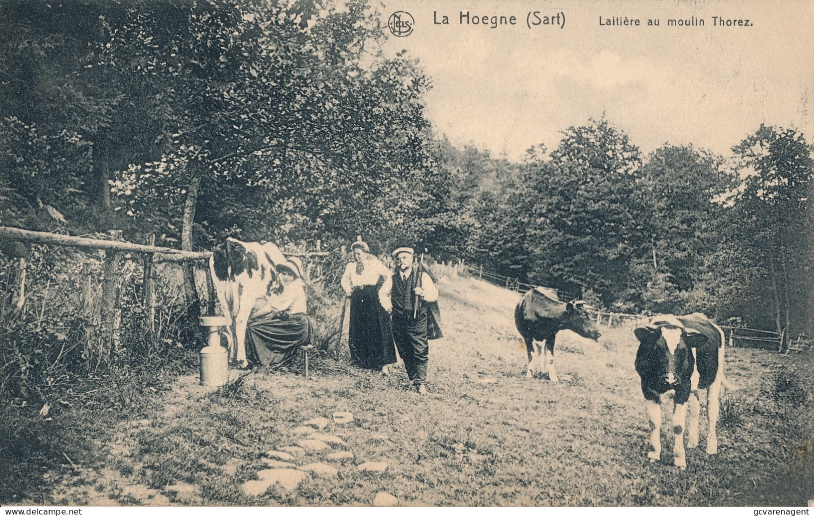 LA HOEGNE   LAITIERE AU MOULIN THOREZ         2 SCANS - Jalhay