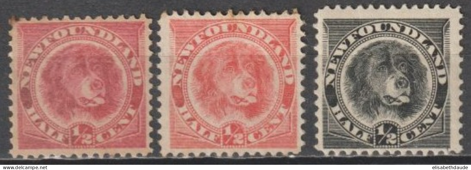 CANADA NEWFOUNDLAND - 1887/1890 - YVERT N°39+44 * MLH + 39a (*) SANS GOMME ET PLIE - COTE = 97 EUR. - CHIEN / DOG - 1865-1902