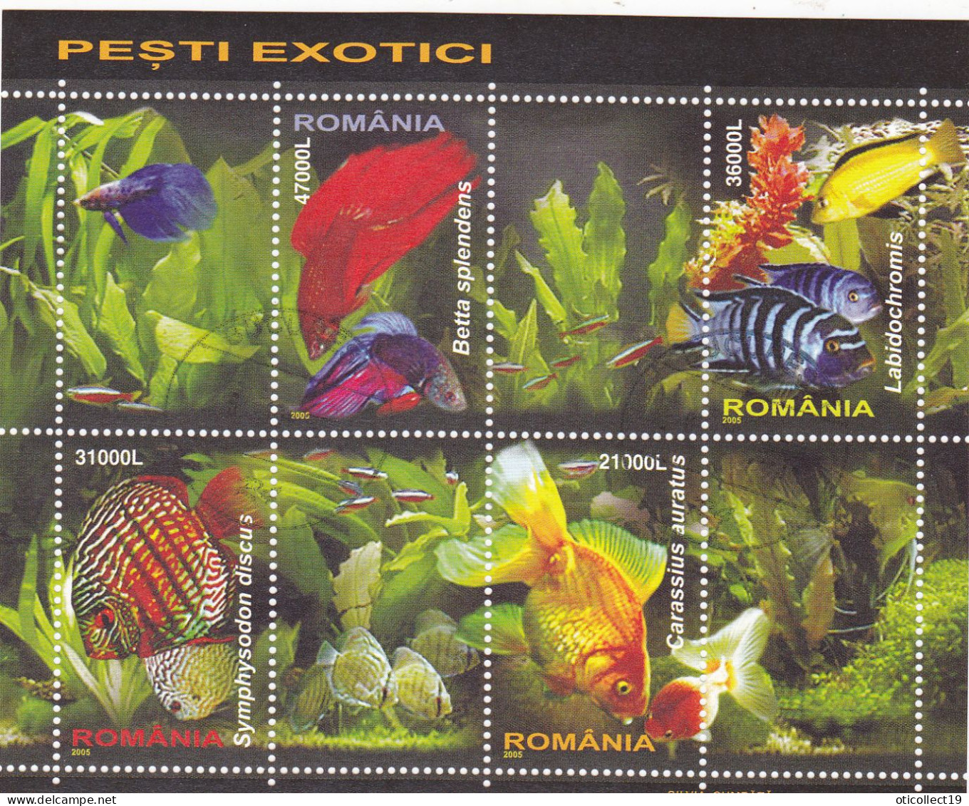 Romania 2005 Exotic Fish 4v M/s, Used, Nature - Fish - Used Stamps