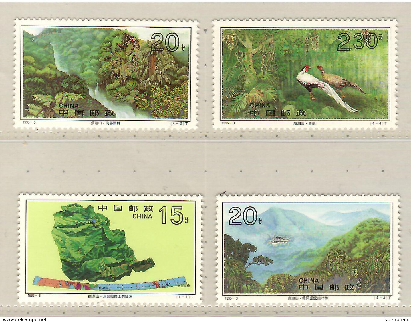 China 1995, Bird, Birds, Pheasant, Set Of 4v, MNH** - Gallinacées & Faisans