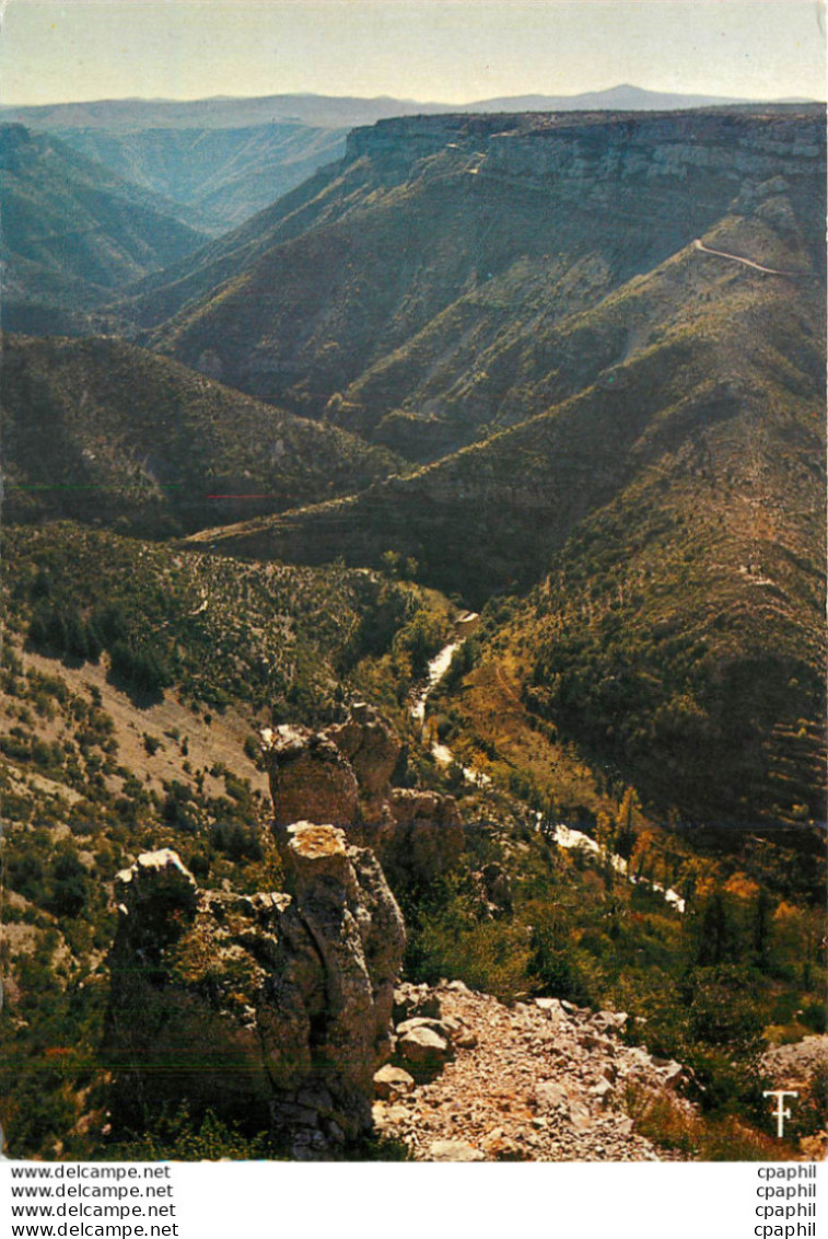 CPM Languedoc Les Causses Le Canon De La Vis Pres De Navacelles - Languedoc-Roussillon