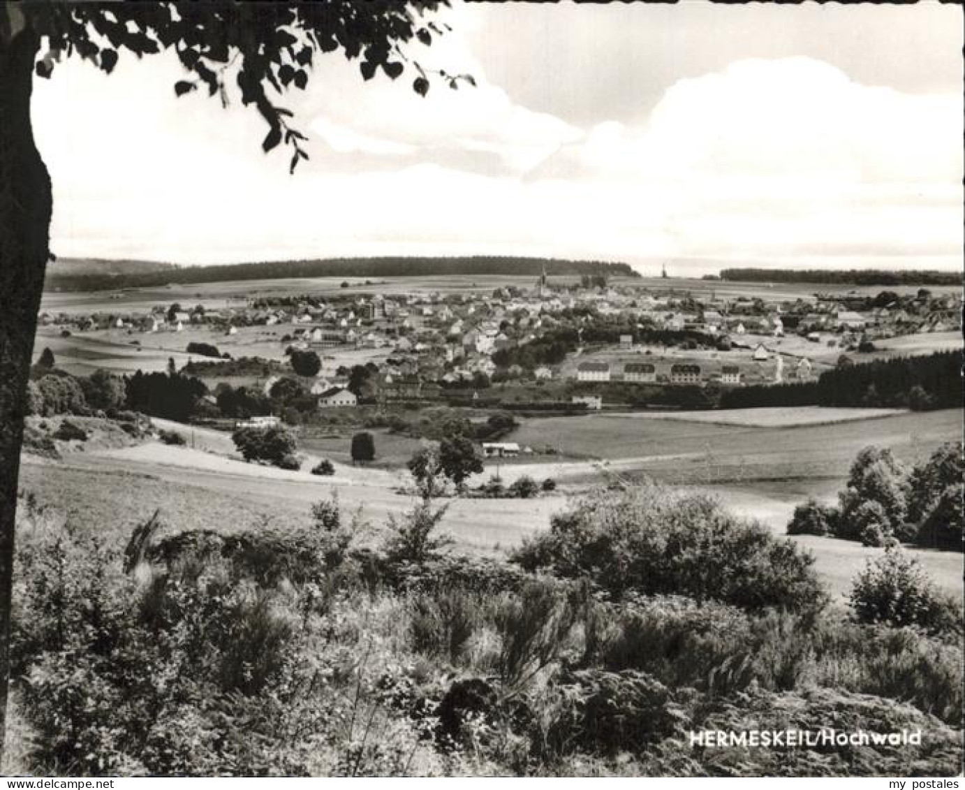 41310728 Hermeskeil Josef Lohmer Buchhandlung Hermeskeil - Hermeskeil