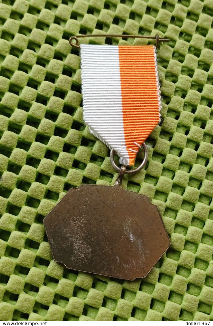 Medaille -    Herfstwandeltochten W.S.V. "De Ploeg " Zelhem .-  Original Foto  !! - Other & Unclassified