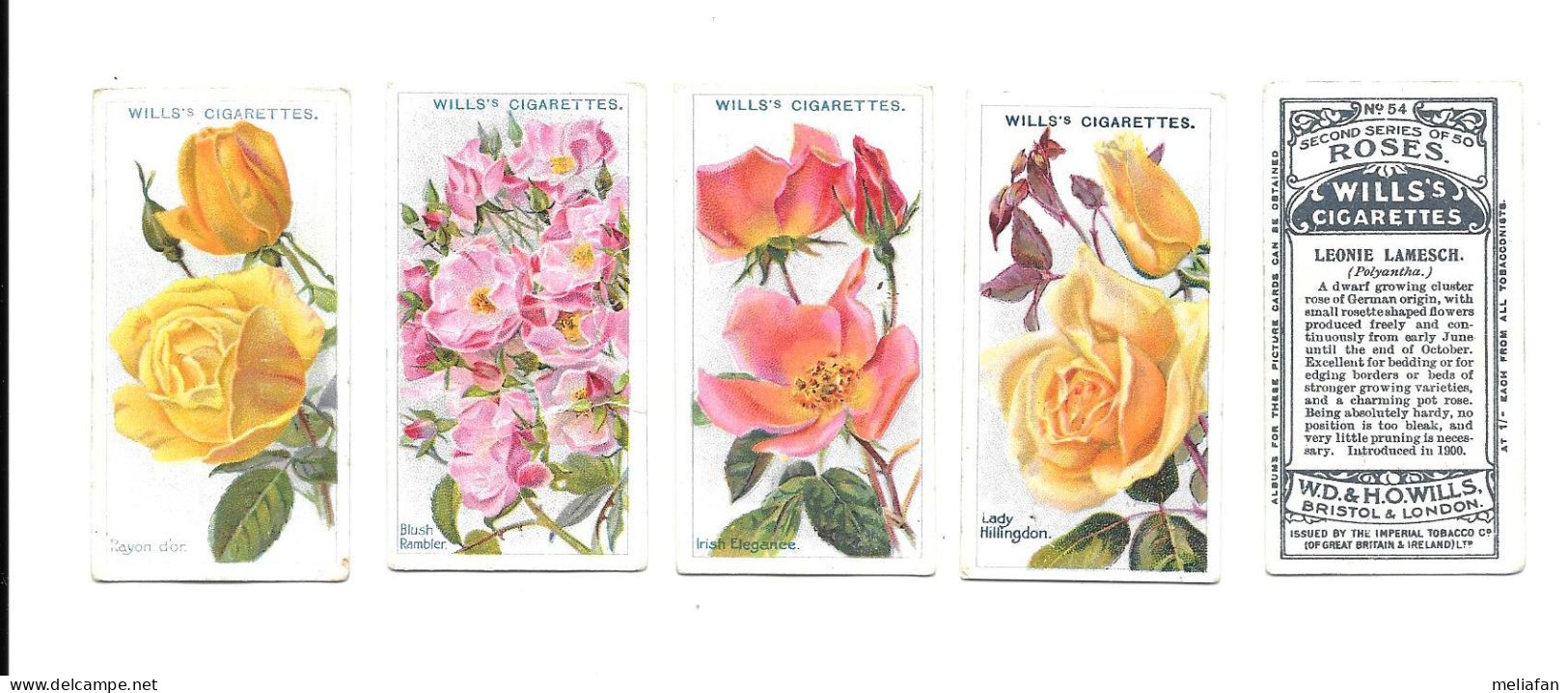 CJ53 - SERIE COMPLETE 50 CARTES CIGARETTES WILLS - ROSES 2nd SERIES - Wills