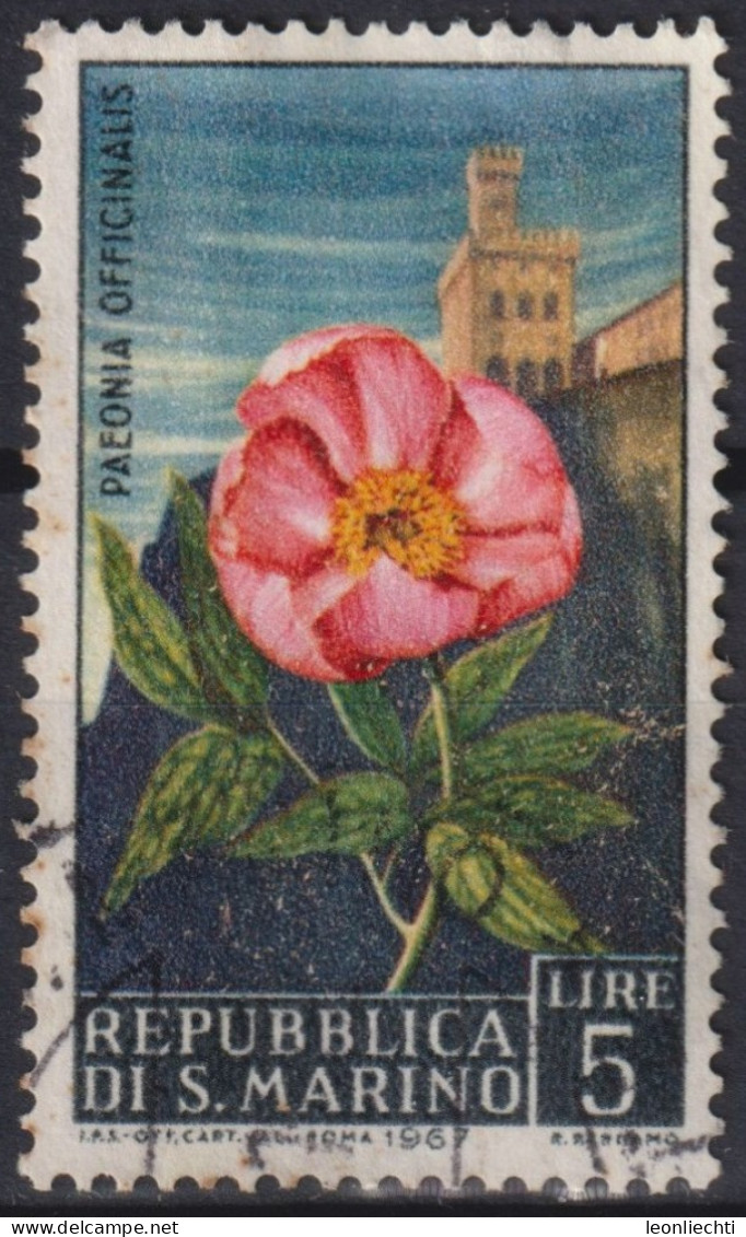 1967 San Marino ° Mi:SM 880, Sn:SM 654, Yt:SM 687, Peony (Paeonia Officinalis), Blume - Gebruikt