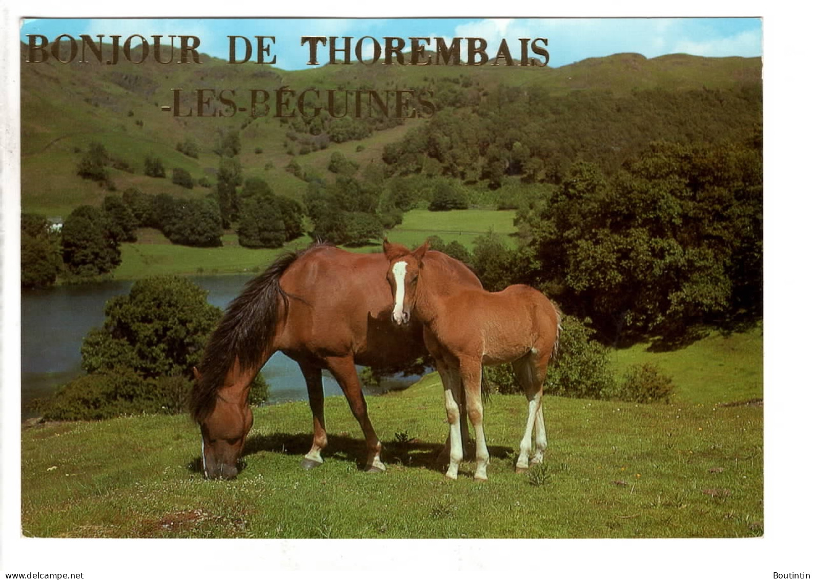 Thorembais Les Béguines Bonjour De ( Chevaux ) - Perwez