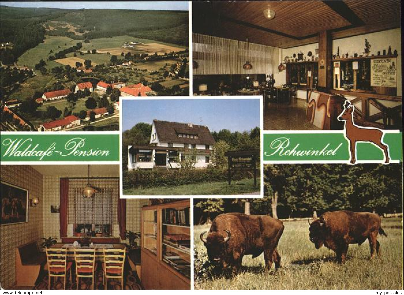 41275952 Warburg Westfalen Waldcafe Pension Rehwinkel Bison Flugaufnahme Warburg - Warburg