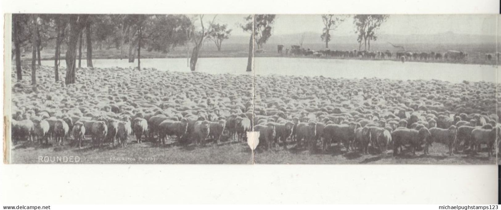 South Australia / Panoramic Postcards - Sonstige & Ohne Zuordnung