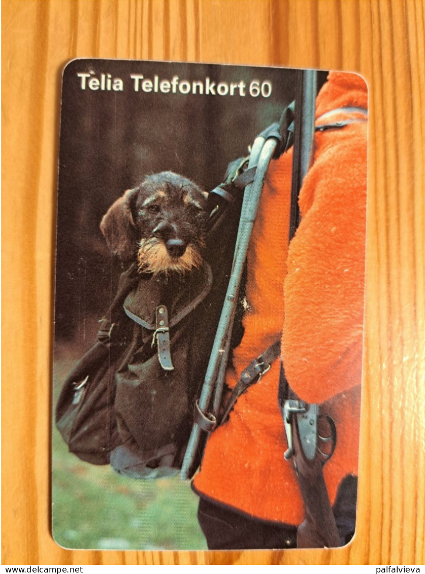 Phonecard Sweden - Dog - Sweden