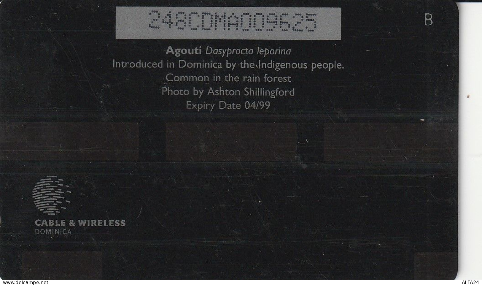 PHONE CARD DOMINICA  (E8.6.2 - Dominica