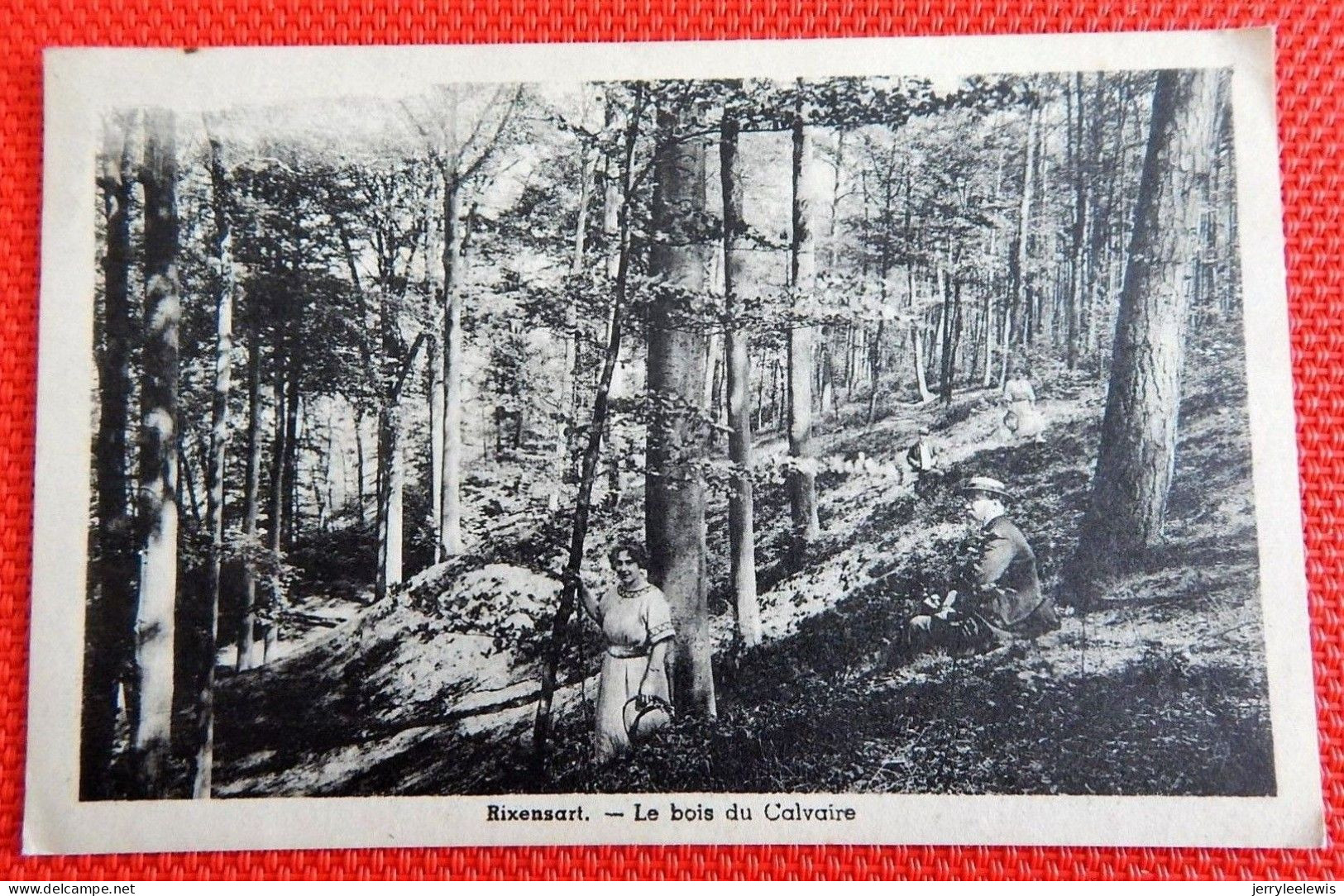 RIXENSART -  Le Bois Du Calvaire - Rixensart