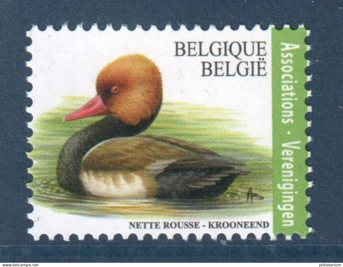 Belgique, België, **, Yv 4731, Mi 4805, SG 3701f, Nette Rousse, Canard, - Patos