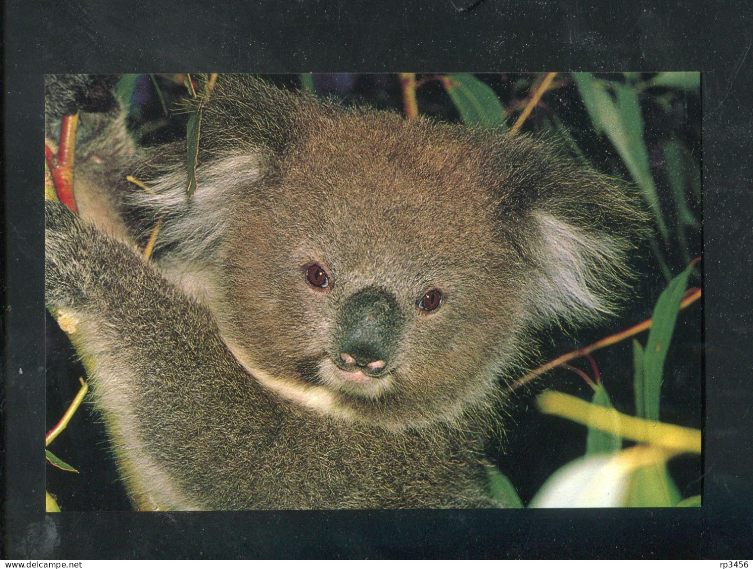 "AUSTRALIEN" 1982, 3 Bild-Postkarten ** (7411) - Postwaardestukken