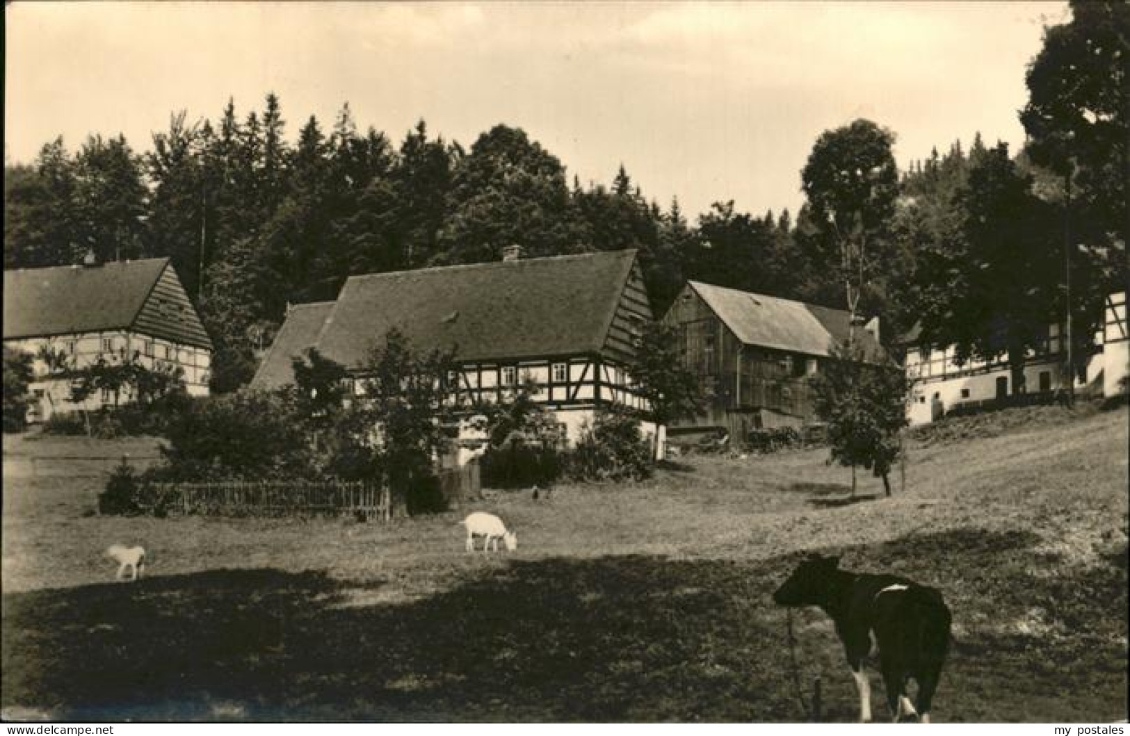 41259597 Holzhau Rechenberg-Bienenmuehle Fachwerkhaeuser Weide Holzhau - Rechenberg-Bienenmühle