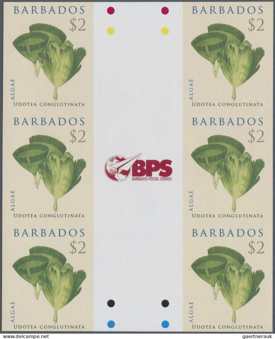 Barbados: 1994/2015. Collection Containing 303 IMPERFORATE Stamps (inclusive Man - Barbados (1966-...)