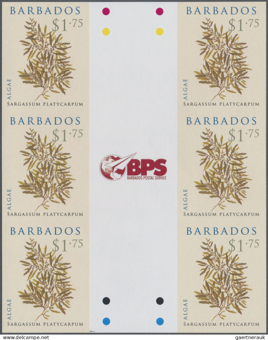 Barbados: 1994/2015. Collection containing 303 IMPERFORATE stamps (inclusive man