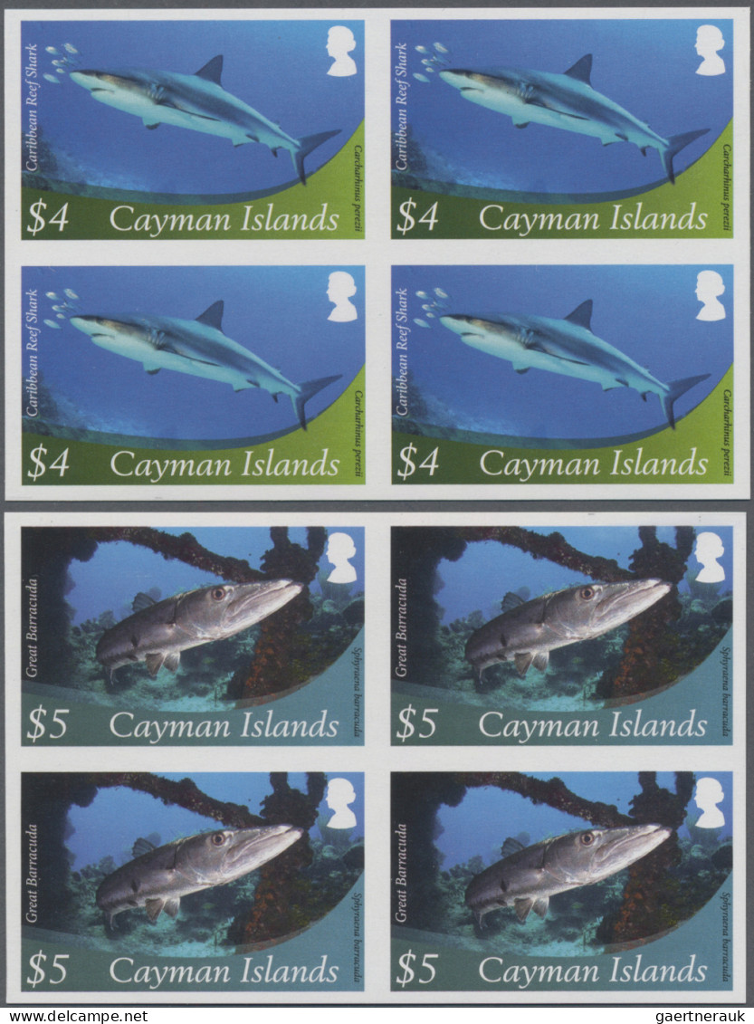 Cayman Islands: 2000/2013. Collection containing 1066 IMPERFORATE stamps (inclus