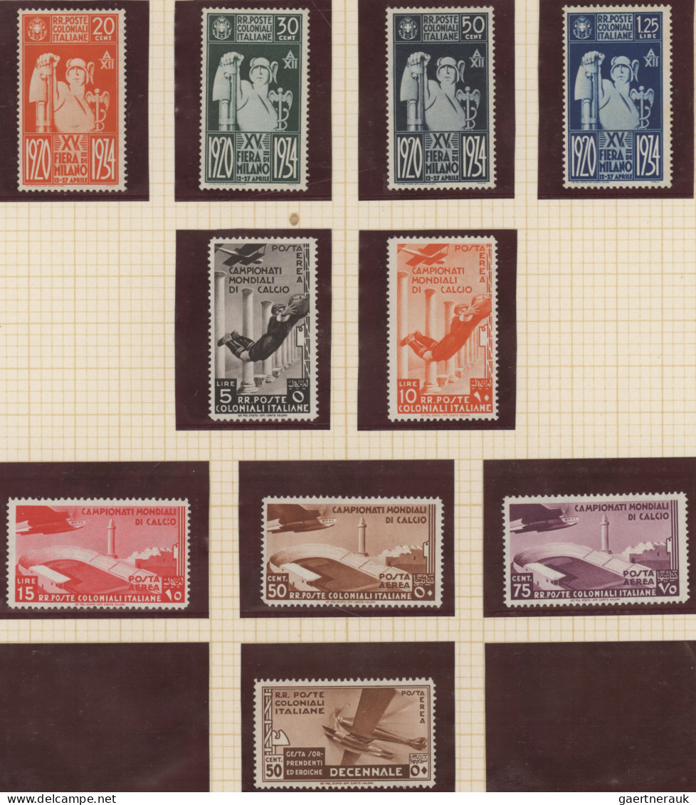 Italian Colonies: 1912/1960 (ca.), Mint And Used Collection Arranged On Album Pa - Emissions Générales