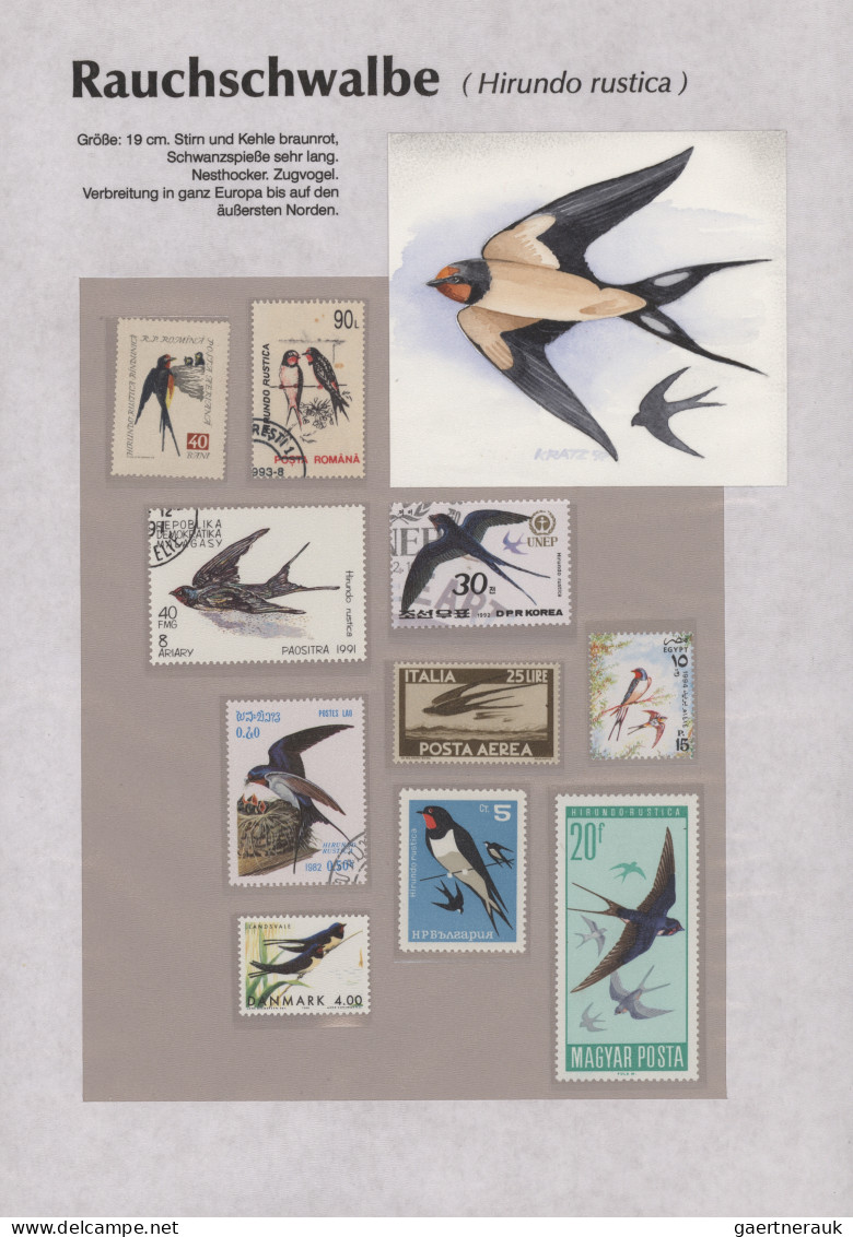 Thematics: animals-birds: 1960/2000 (ca.), comprehensive thematic collection wit