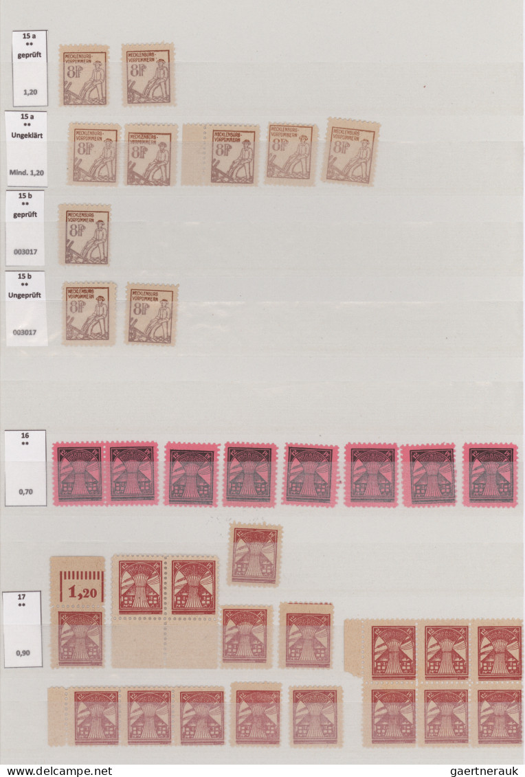 Sowjetische Zone - Mecklenburg-Vorpommern: 1945/1946, Erste Freimarkenausgabe, F - Autres & Non Classés