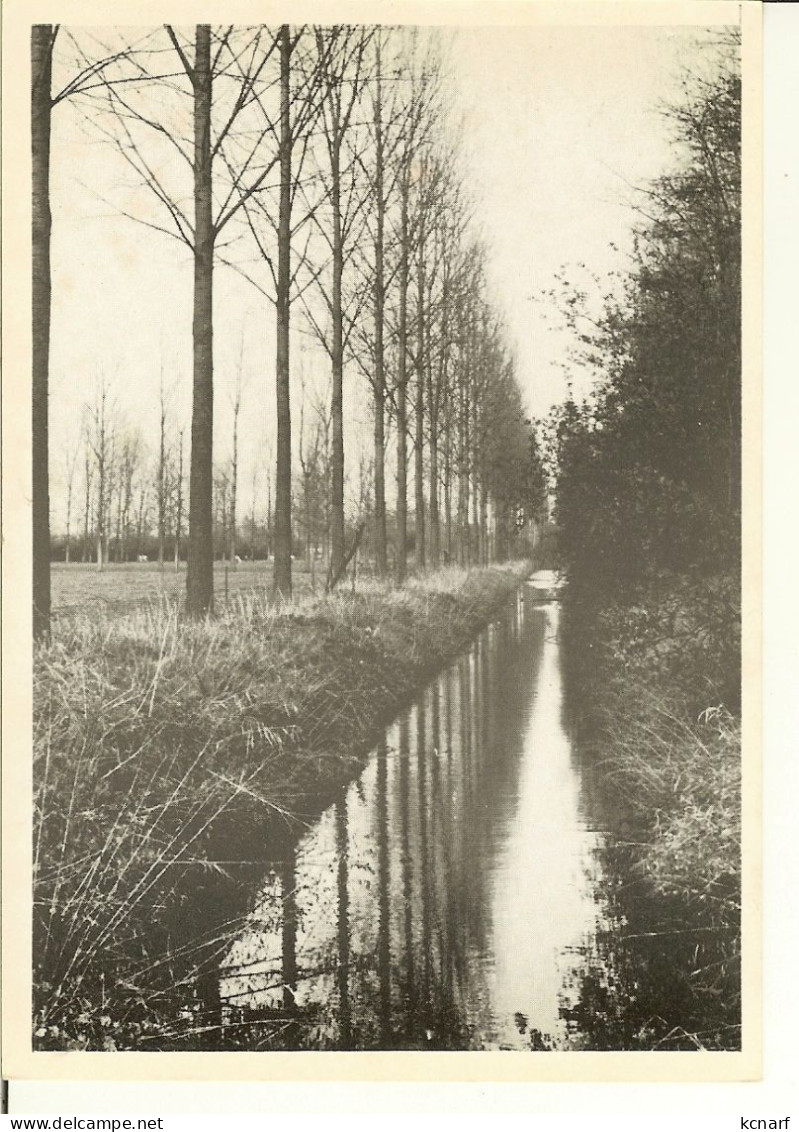 CP De Zétrud-Lumay ( Jodoigne ) " Le Moulin , Vallée De La Grande Gette " - Jodoigne