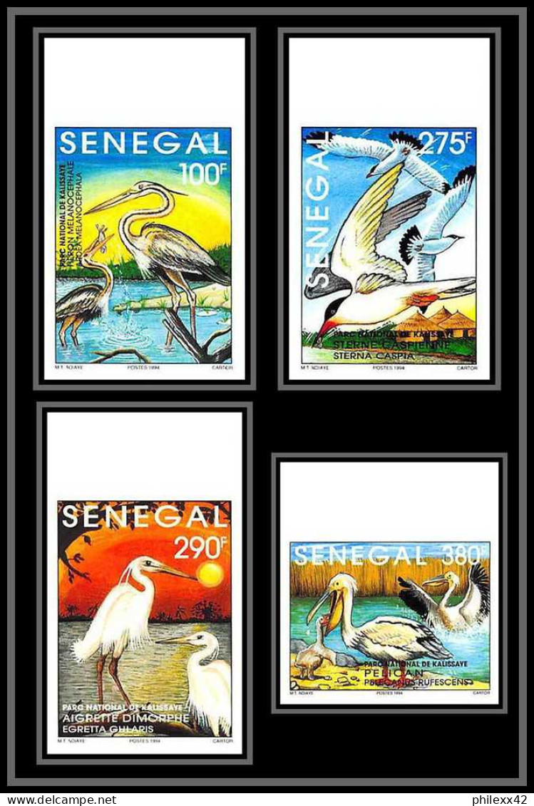 92747c Sénégal N°1108/1111 Kalissaye Oiseaux Birds 1994 Héron Sterne Pelican Aigrette Terns Non Dentelé ** MNH Imperf  - Pelicans