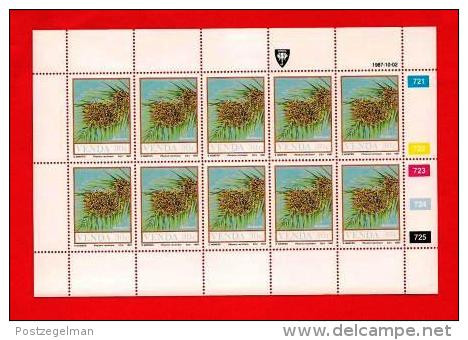 VENDA, 1987, MNH Stamp(s) In Full Sheets, Food From The Veld, Nr(s) 163-166, Scan S632 - Venda