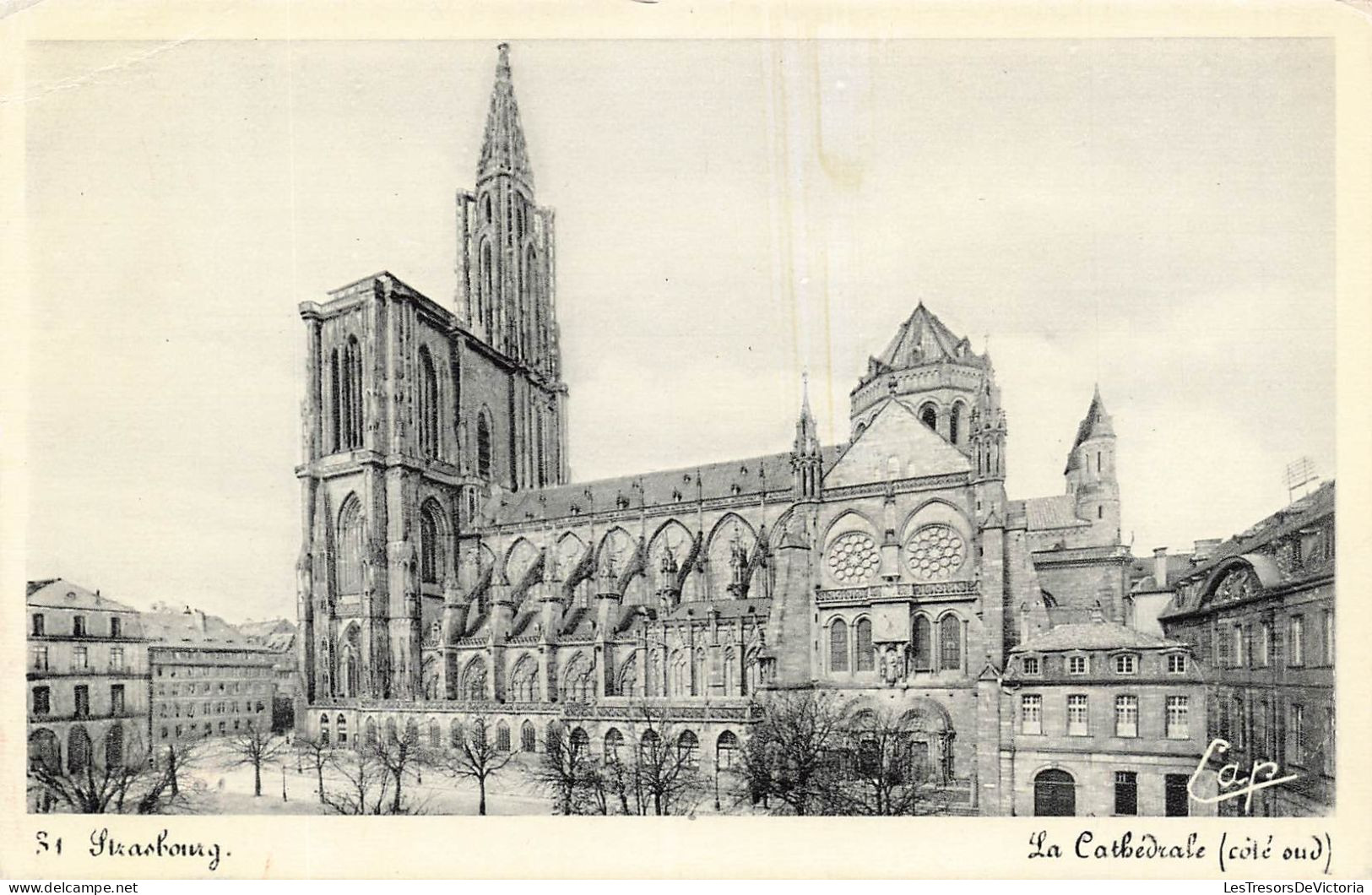 FRANCE - Strasbourg - La Cathédrale - Côté Sud - Carte Postale Ancienne - Strasbourg