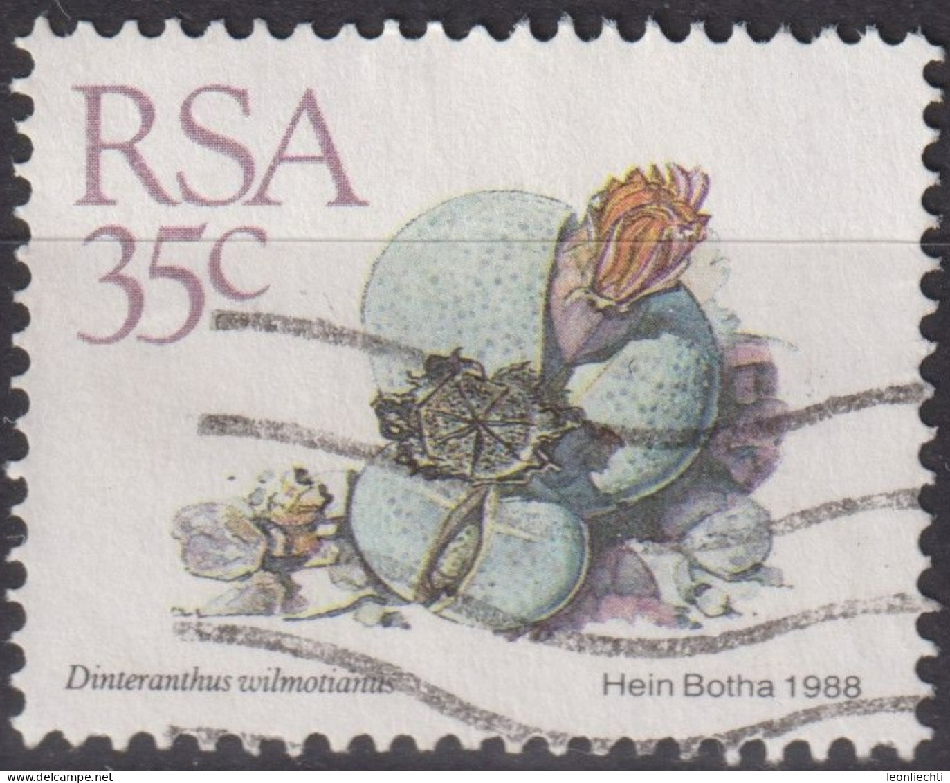 1988 RSA Südafrika ° Mi:ZA 752, Sn:ZA 746, Yt:ZA 669, Dinteranthus Wilmotianus, Freimarken - Sukkulenten - Used Stamps