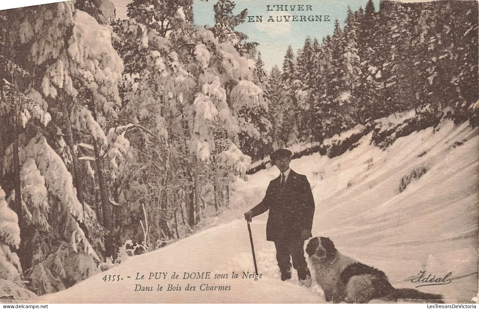 FRANCE - L'hiver En Auvergne - Le Puy De Dôme Sous La Neige - Dans Le Bois Des Charmes - Carte Postale Ancienne - Auvergne Types D'Auvergne