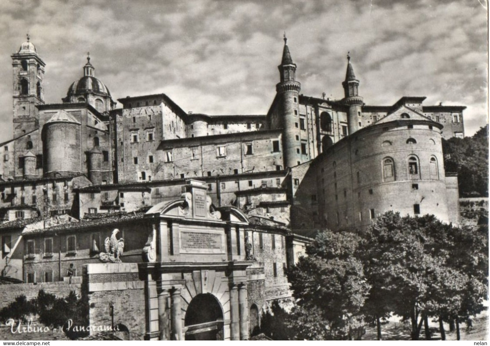 URBINO - PANORAMA - F.G. - Urbino